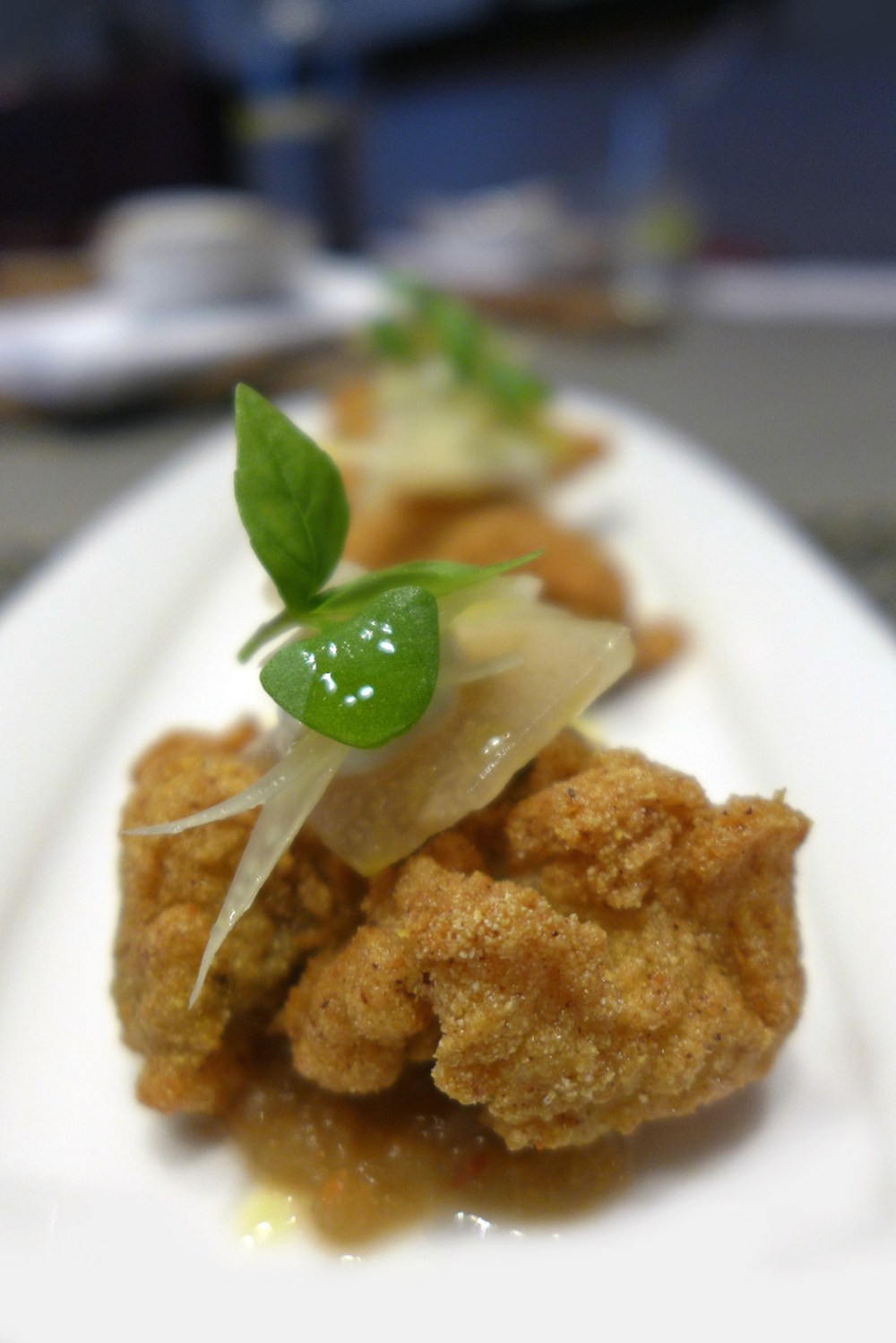 mr coopers house and garden , Manchester.