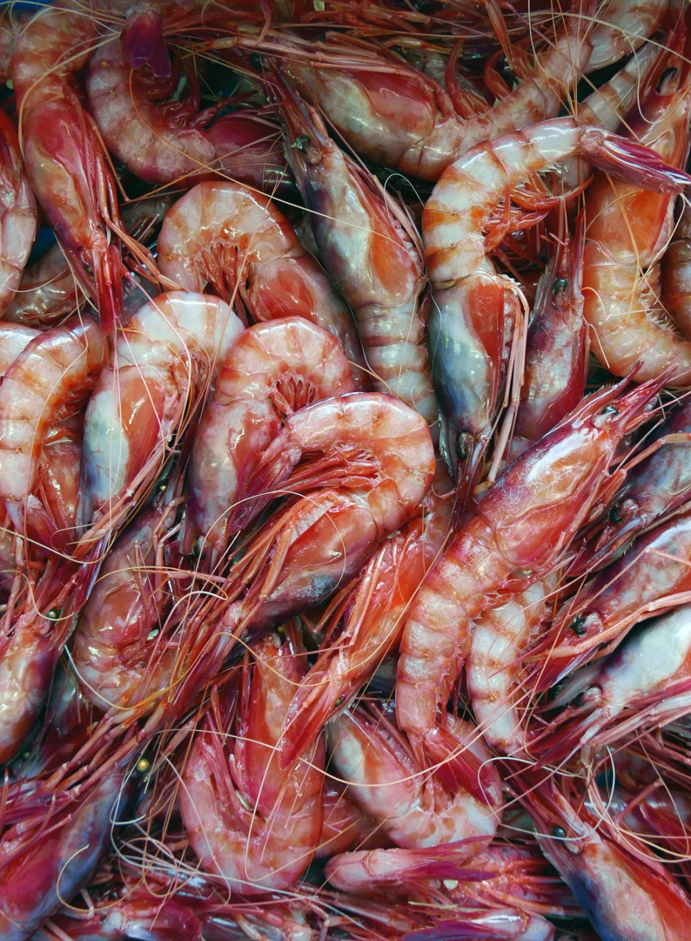 Quique dacosta , denia , spain