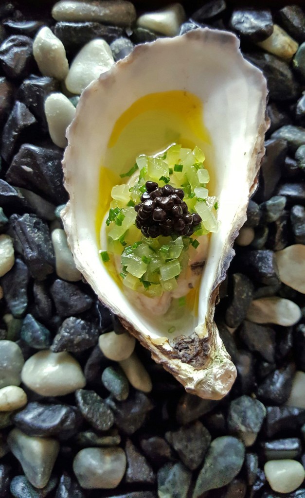 House of tides , newcastle