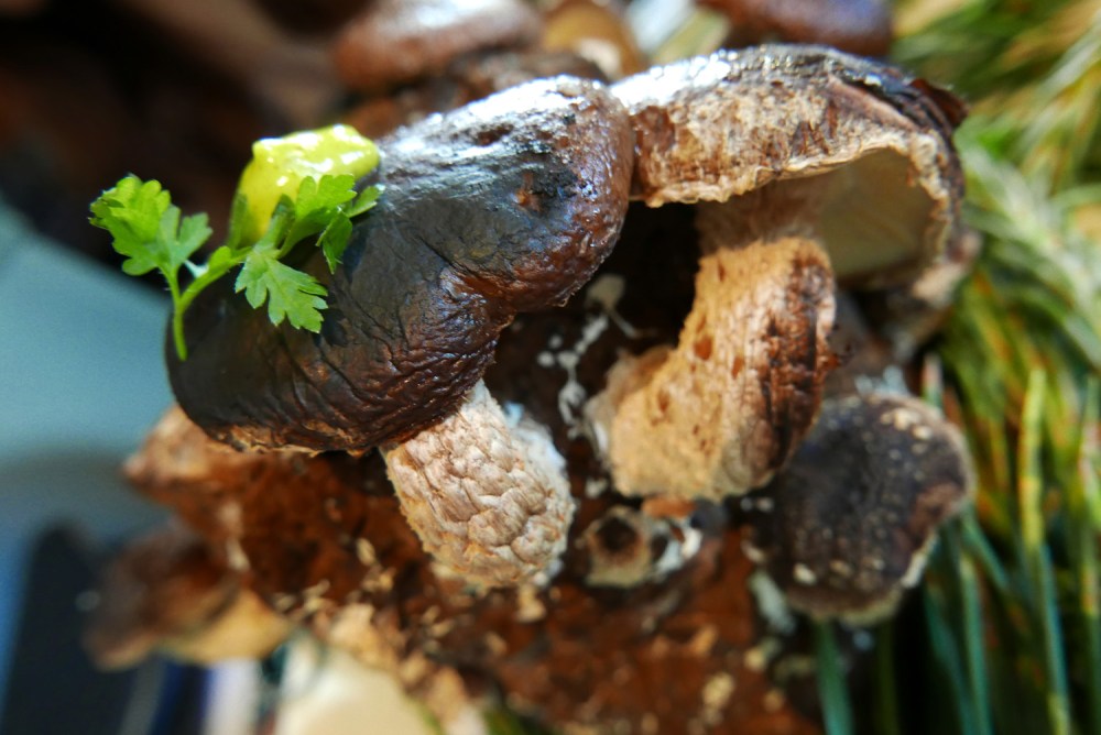 restaurant mark greenaway