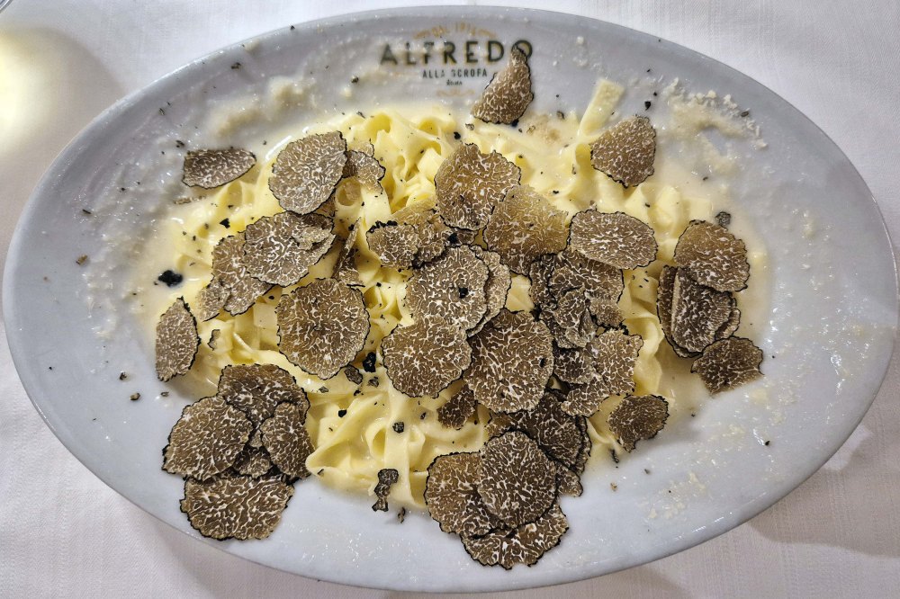 BEST IN ROME ALFREDO